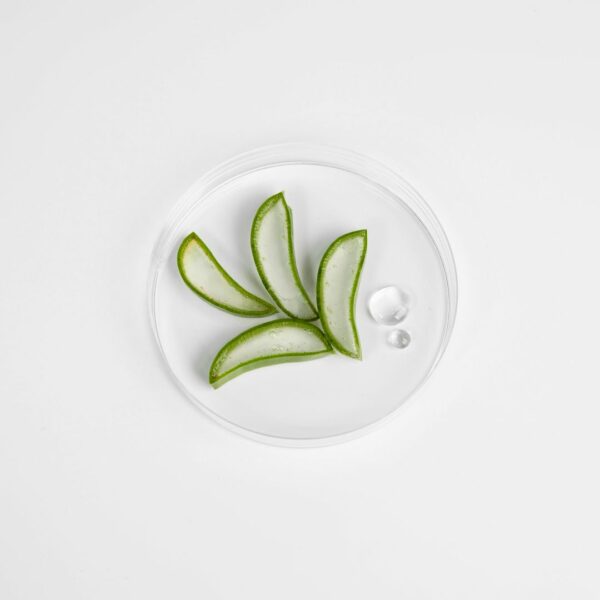 The brand - The Saem